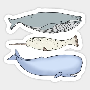 Cute little Whale set Sticker